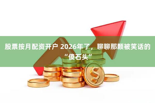 股票按月配资开户 2026年了，聊聊那颗被笑话的“傻石头”