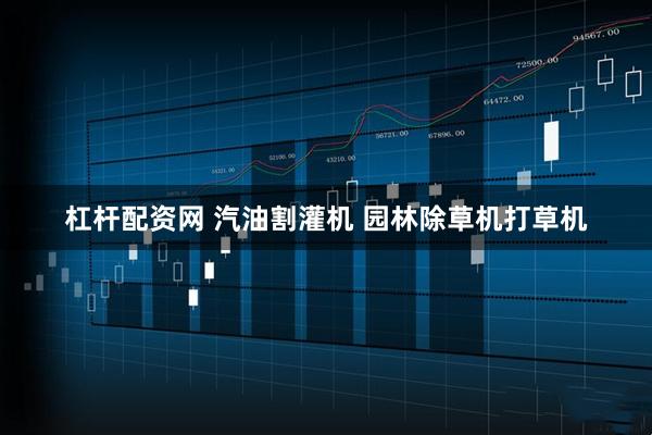 杠杆配资网 汽油割灌机 园林除草机打草机